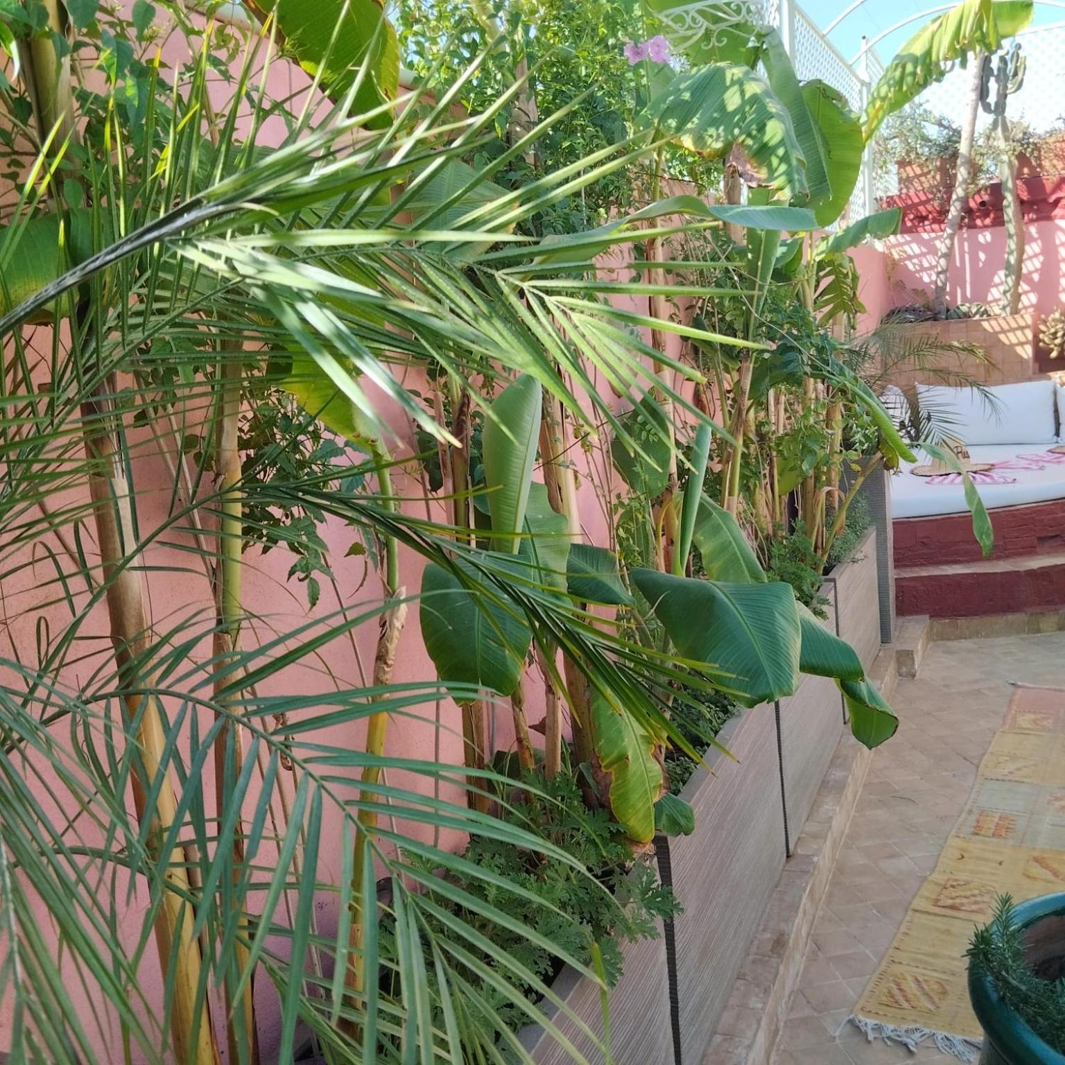 Riad Laith (Adults Only) Marrakesh Buitenkant foto